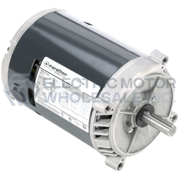 56C DP NBv3.jpg